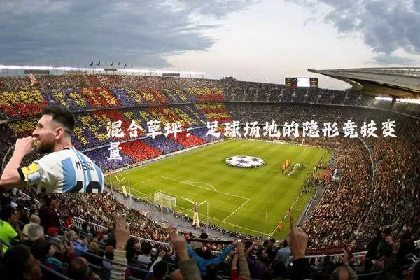 混合草坪：足球场地的隐形竞技变量
